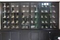 20170428-7 coop-1225